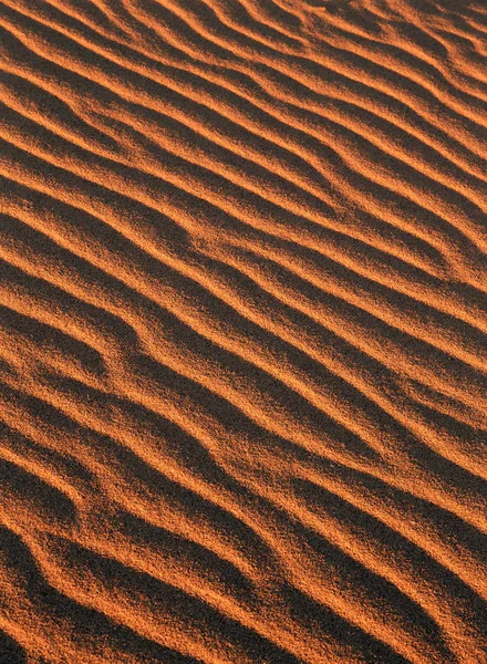 砂丘の質感の背景 — ストック写真