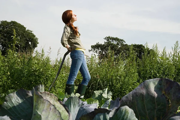 Young Woman Standing Cabbage Field — Stock Photo, Image