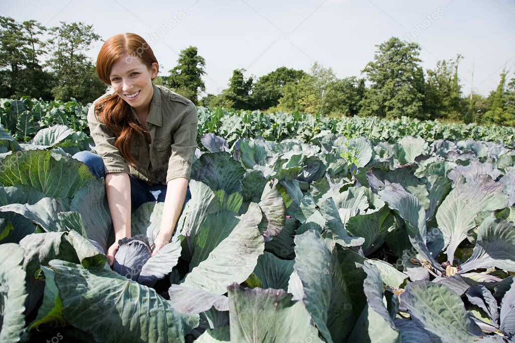 Woman picking cabbages in field