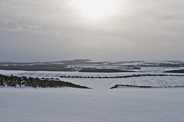 Vista Del Paisaje Cubierto Nieve Colinas Campos Berwickshire Escocia — Foto de Stock