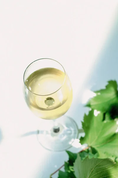 Verre Vin Blanc — Photo