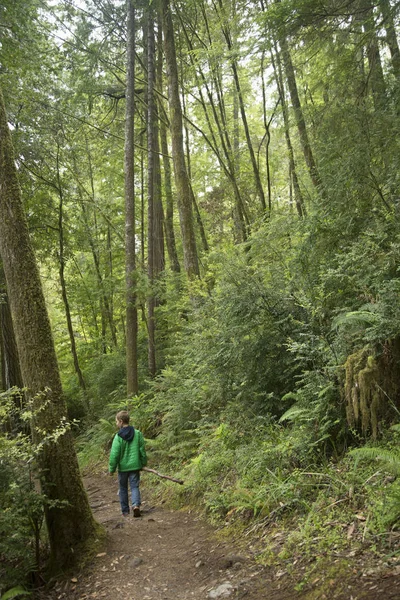 Boy Walking Path Redwoods National Park California Verenigde Staten — Stockfoto