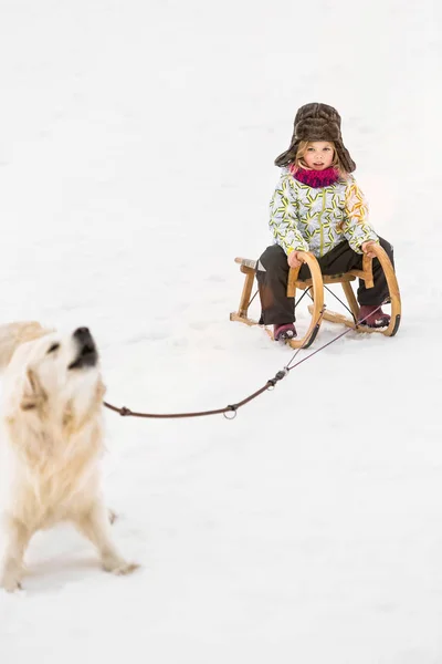 Mädchen Von Hund Auf Rodel Schnee Gezogen — Stockfoto