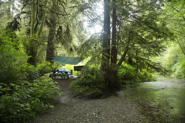 キャンプ レッドウッド国立公園 カリフォルニア州 アメリカ — ストック写真