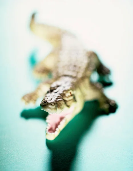 Crocodilo Brinquedo Perto — Fotografia de Stock
