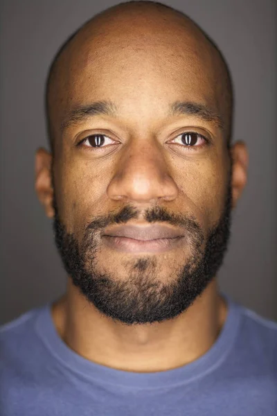 Portrait of mid adult man with beard, african american ethnicity