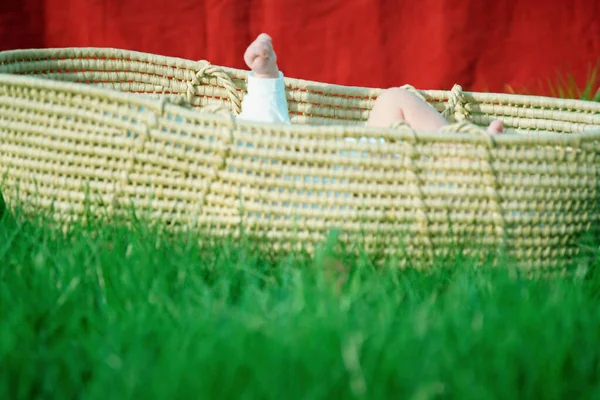 Stroh Babytrage Auf Gras — Stockfoto