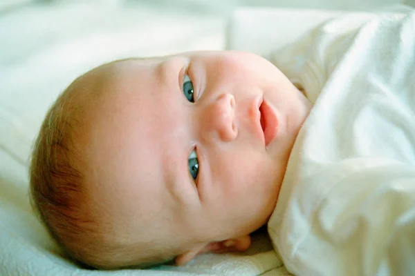 Portrait Baby — Stock Photo, Image