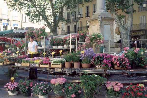 フラワーマーケット Place Htel Aix Provence — ストック写真