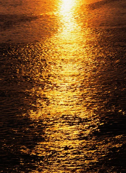 Günbatımında Kolombiya Nehir Vadisi — Stok fotoğraf