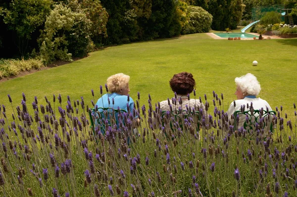 Tylny Widok Starszych Kobiet Siedział Ogrodzie — Zdjęcie stockowe