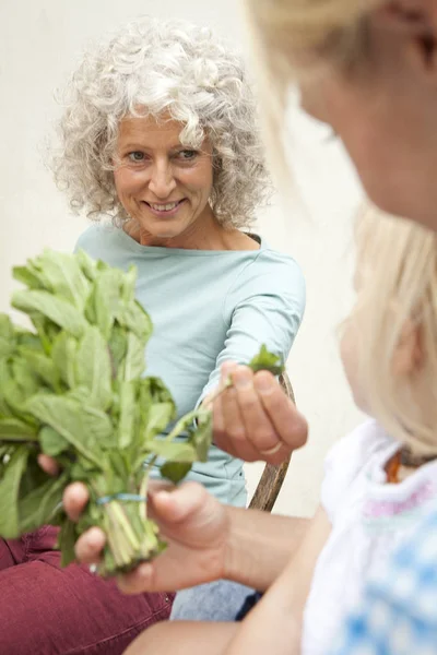 Mature Woman Daughter Granddaughter Smelling Bunch Mint Garden — Stock Photo, Image