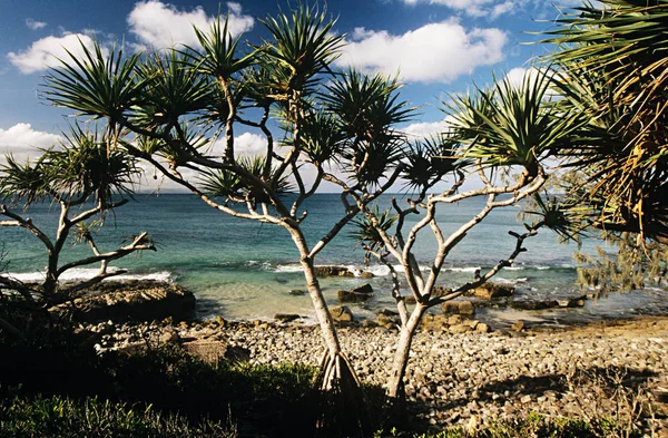 Noosa Beach Australia View — Stockfoto
