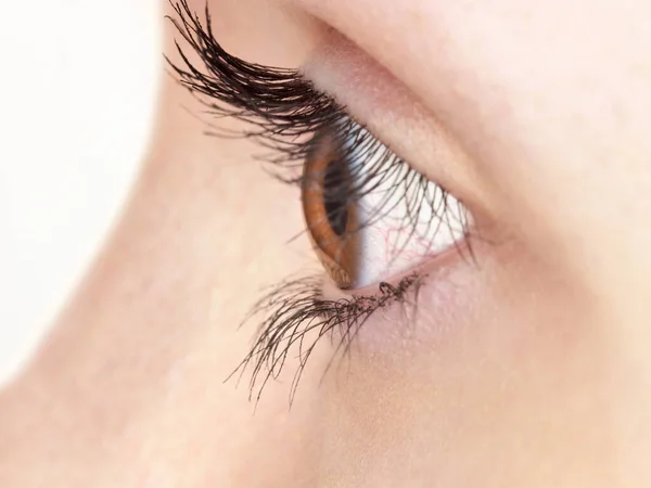 Brown Eye Lashes Close — Stock Photo, Image