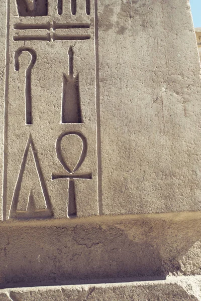 Hieroglyphics Carved Stone Luxor Egypt — 스톡 사진