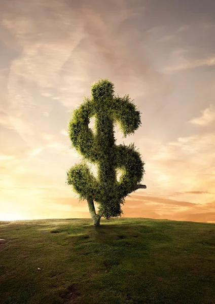 Albero Topiario Simbolo Finanziario Dollaro Segno — Foto Stock