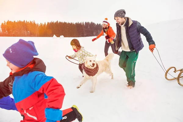犬と一緒に雪の中を走る家族 — ストック写真