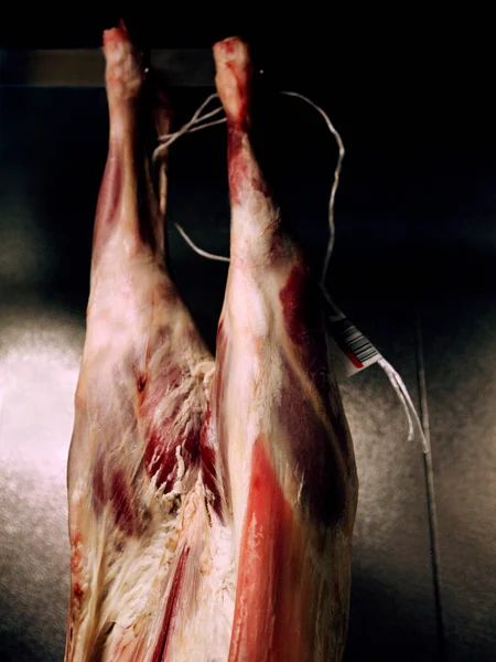 Carne Cordero Colgando Cerca — Foto de Stock