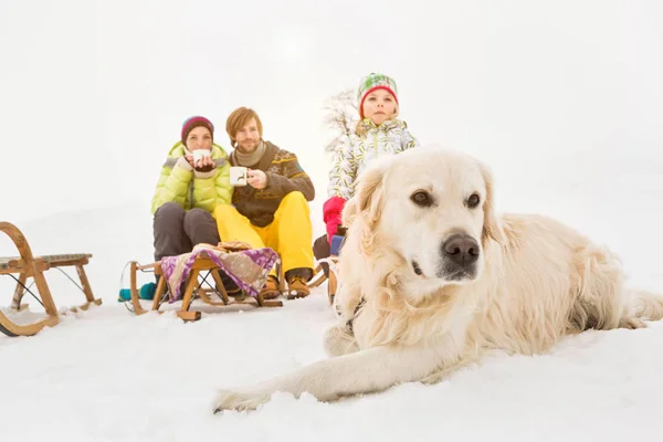 Σκύλος Που Βρίσκεται Στο Χιόνι Την Οικογένεια Στο Παρασκήνιο — Φωτογραφία Αρχείου