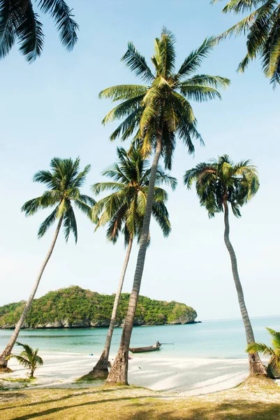 泰国Koh Samui海滩上的棕榈树 — 图库照片