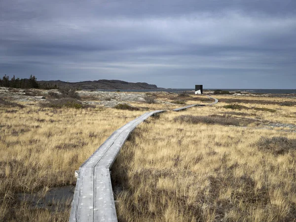 Elevated Walkway Marshland Fogo Island Newfoundland Canada — Stock Photo, Image