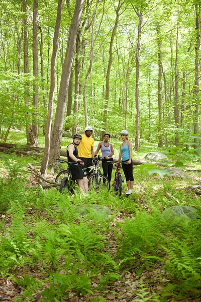 森の中の4人のサイクリスト — ストック写真