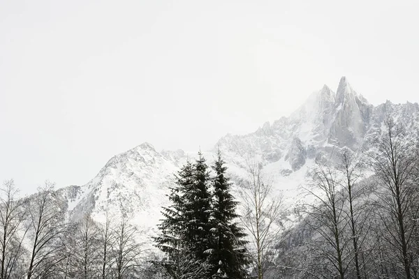 Fák Hegyek Francia Alpokban — Stock Fotó