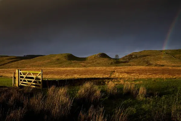 Vidéki Táj Szivárvány Northumberland Anglia Egyesült Királyság — Stock Fotó