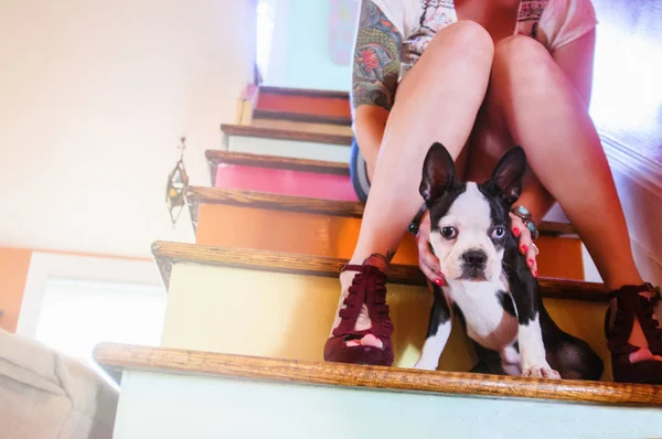Tiro Cortado Jovem Mulher Sentada Escada Colorida Com Cão — Fotografia de Stock
