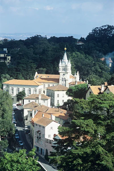 Sintra Portugal Árboles —  Fotos de Stock