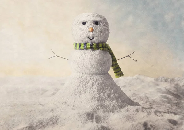 Modelo de muñeco de nieve —  Fotos de Stock