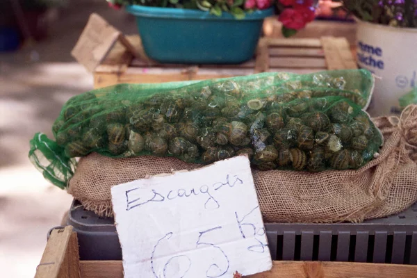 Escargots Market Aix Provence — стокове фото