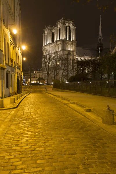 巴黎圣母院景观和夜间鹅卵石街道 法国巴黎 — 图库照片