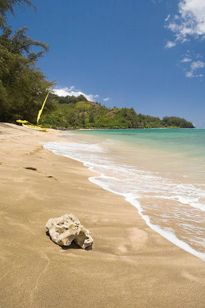 Beach Kauai View — Stock Photo, Image