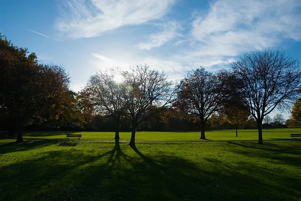 Park Nad Błękitnym Niebem — Zdjęcie stockowe