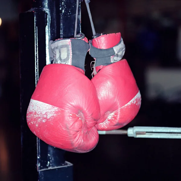 Boxing Gloves Isolated Black Background — kuvapankkivalokuva