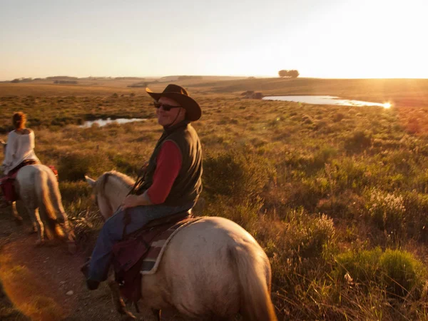 ウルグアイのクリオーロ馬に乗っている老人 — ストック写真
