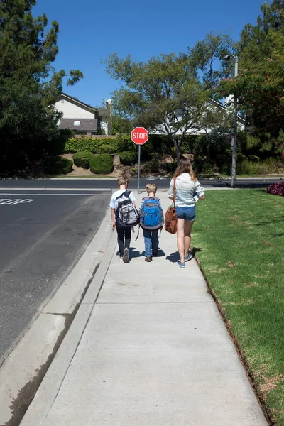 Teacher and pupils crossing road Stock Photo - Alamy