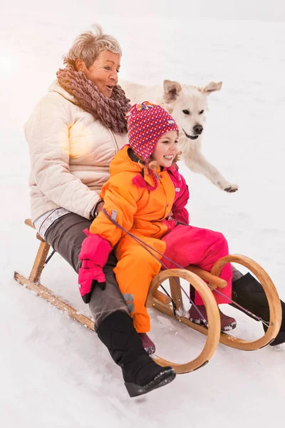 Abuela Nieta Trineo Nieve —  Fotos de Stock