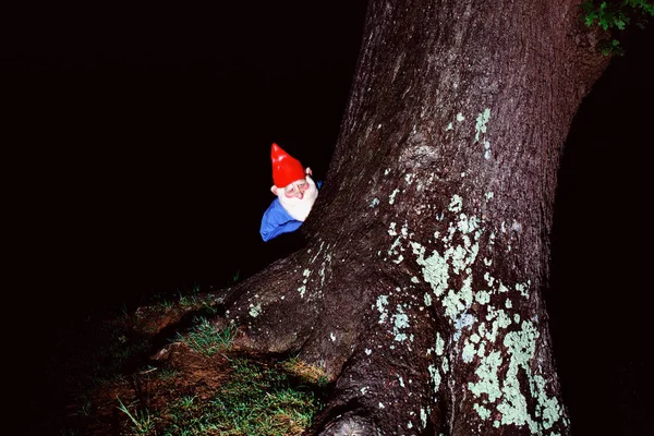 Gnomo Jardín Escondido Detrás Del Árbol — Foto de Stock