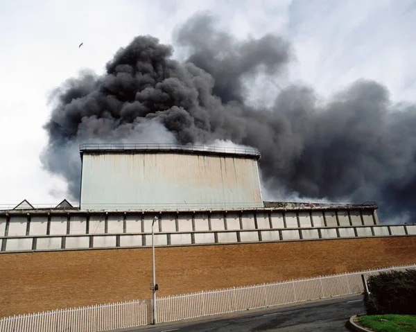 Zwarte Rook Boven Hemel — Stockfoto