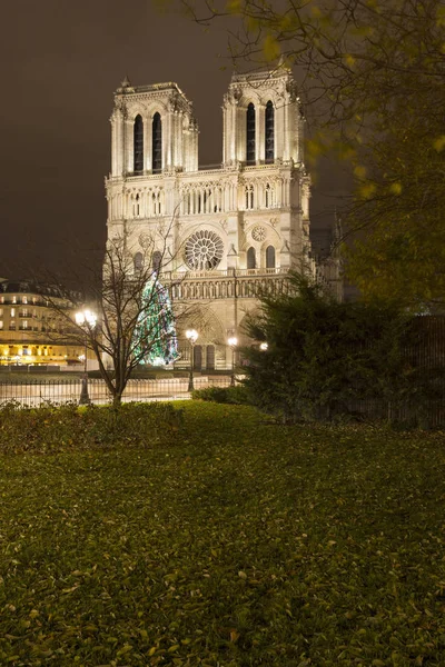 Pohled na katedrálu Notre Dame v noci, Paříž, Francie — Stock fotografie