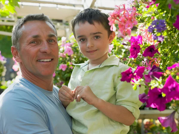 Apa Holding Fia Kertészeti Központban Stock Fotó
