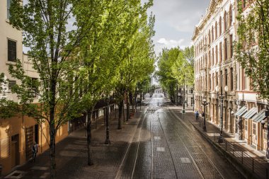 Empty tree-lined cobblestone street with tram lines, Portland, Oregon, US clipart