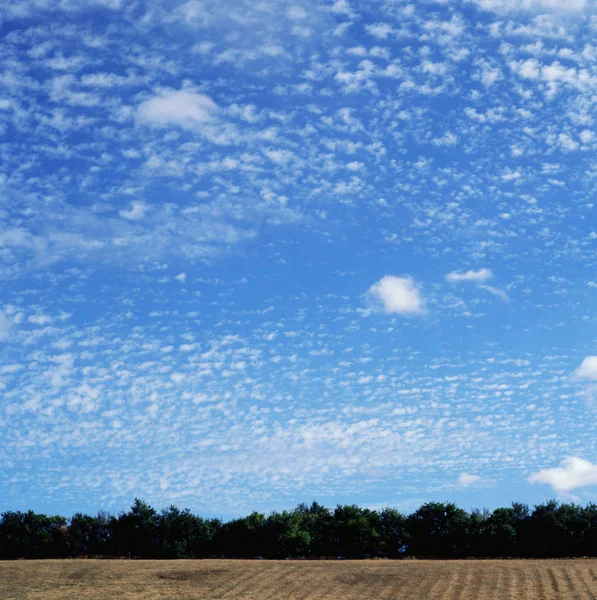 Nuvole sopra un campo — Foto Stock