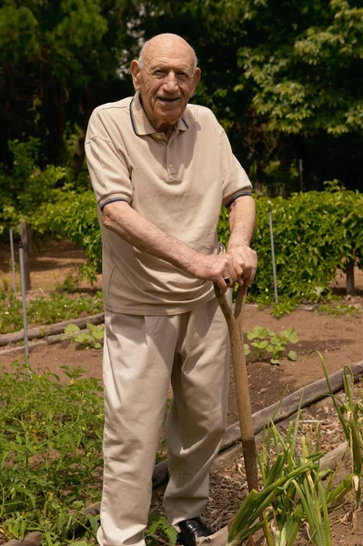 Senior Man Gardening Smiling — Stock Photo, Image