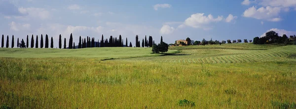 Toscana Sobre Céu Azul — Fotografia de Stock