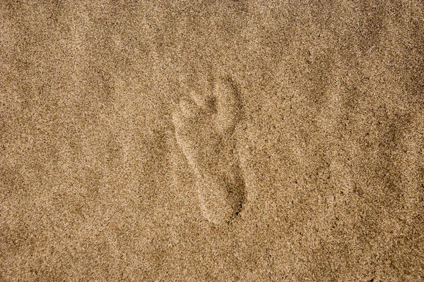 Single Footprint Sand — Stock Photo, Image