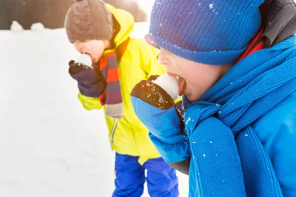 两个男孩子舔雪球 — 图库照片