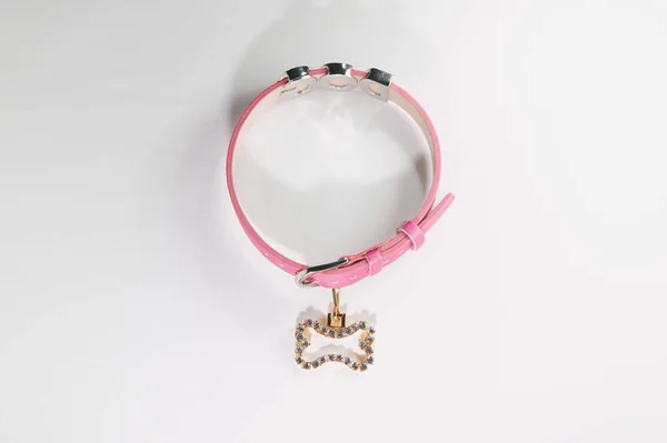 Pink Dog Collar Isolated White Background — Stock Photo, Image